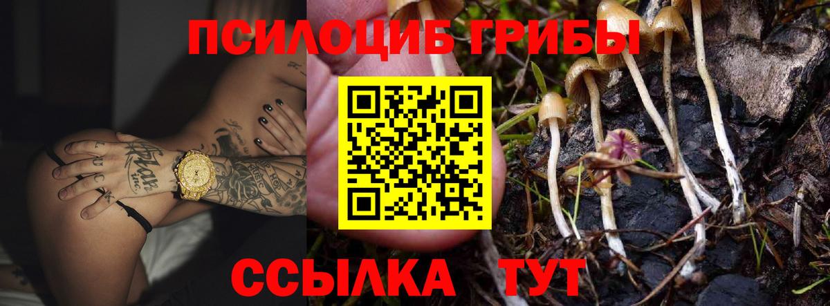 Галлюциногенные грибы Magic Shrooms Томск