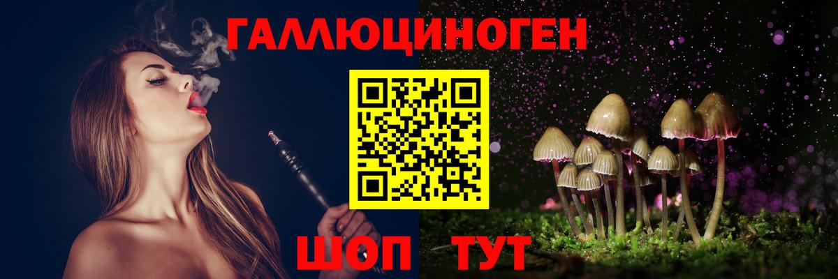 Томск  Галлюциногенные грибы Cubensis  Вход с VPN 